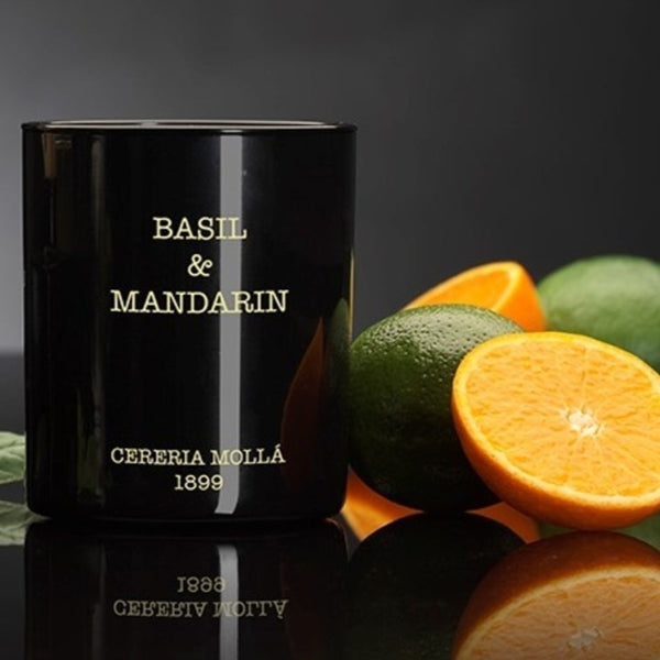 Cereria Molla Basil & Mandarin Candle – Innovative Home Brands